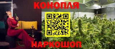 spice Севастополь